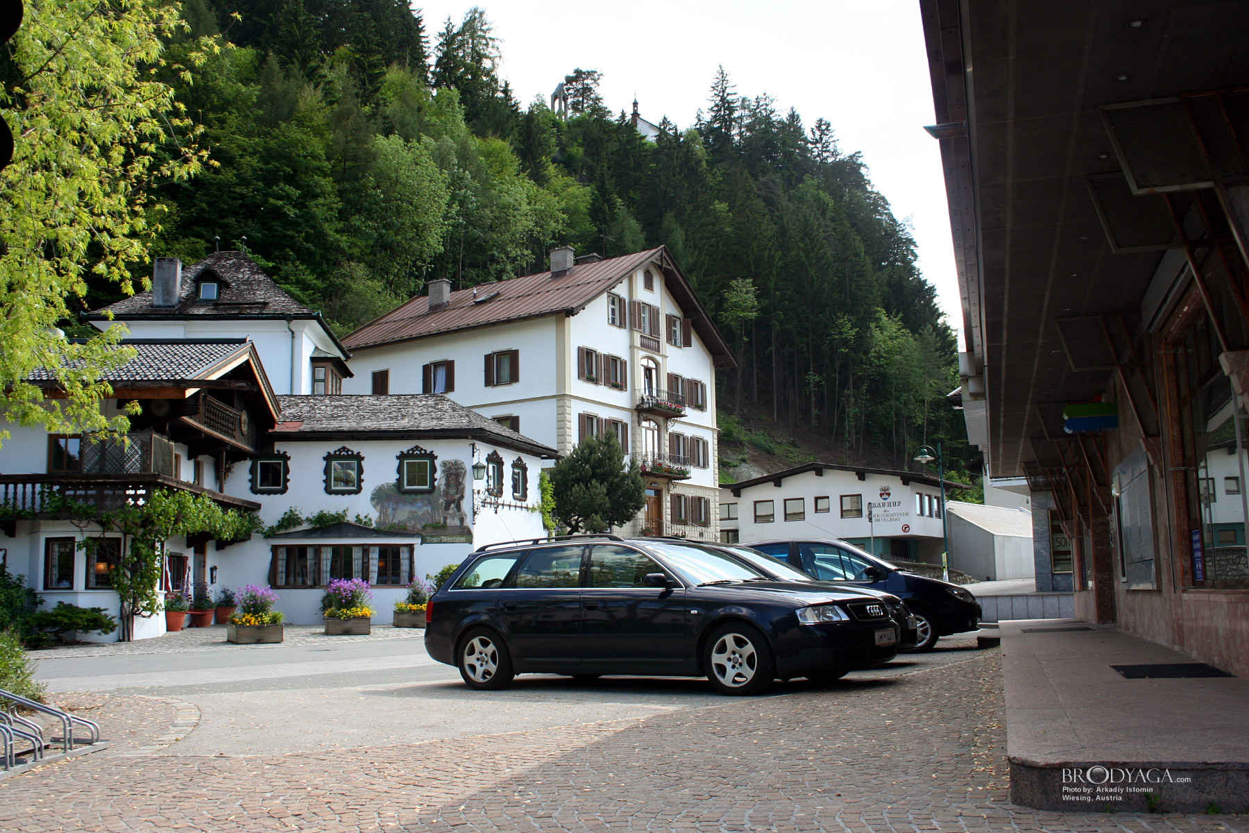 Wiesing